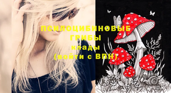 экстази Горняк