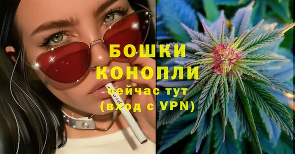 дурь Гусиноозёрск